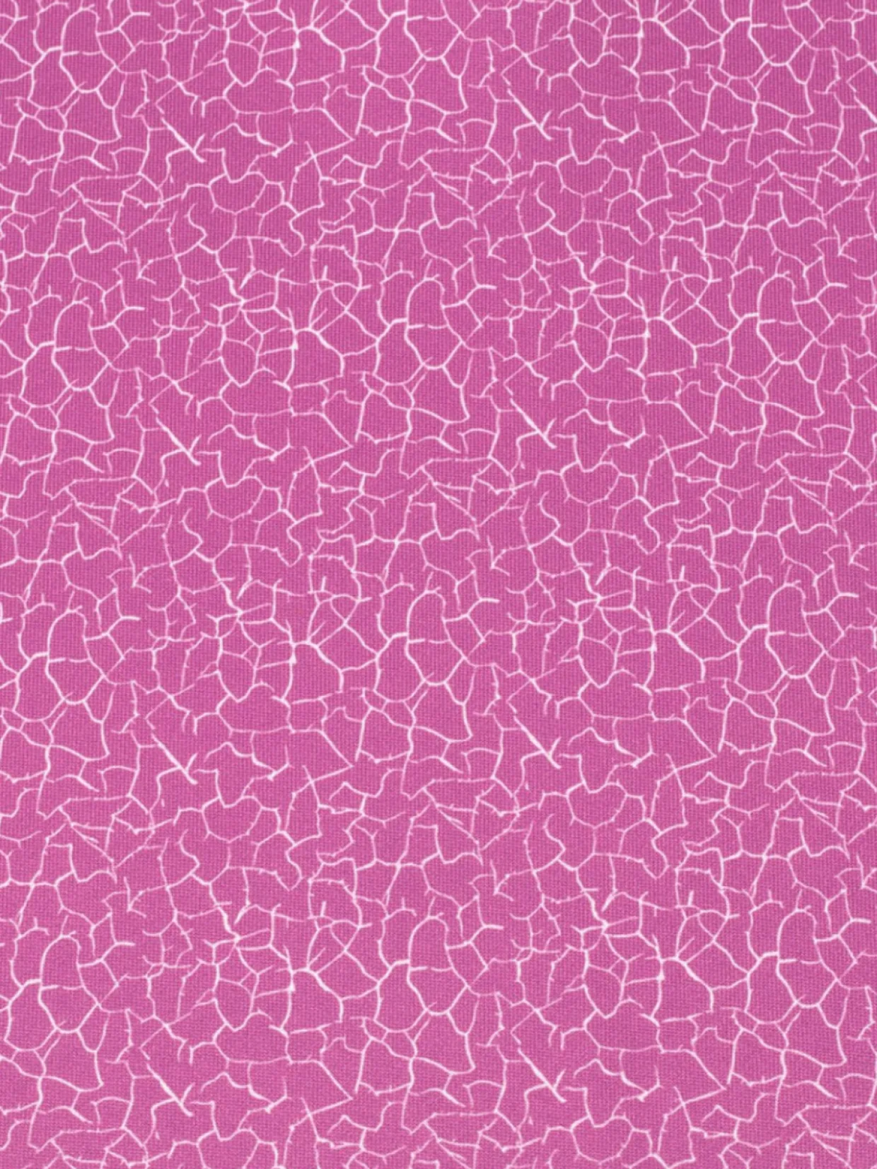 Calvin Klein Women'S Crackle Polo - Orchid/White