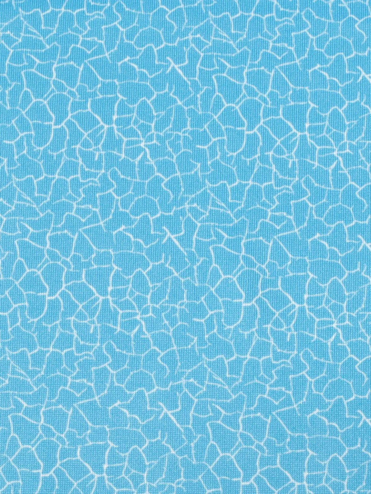 Calvin Klein Women'S Crackle Sleeveless Polo - Heritage Blue/White