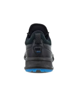 Ecco Biom C4 Golf Shoes - Black